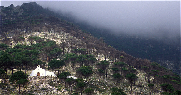 "Low Cloud Descending"