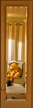 "A Teddy For Life"