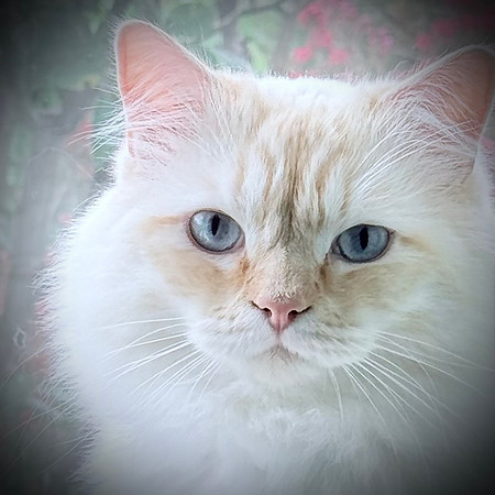 "Otis 2"