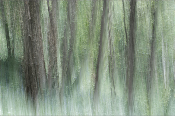 "PETERVILLE WOODS"
