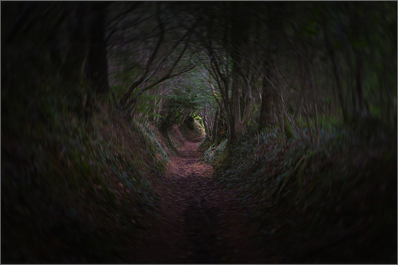 "TUNNEL VISION#3"
