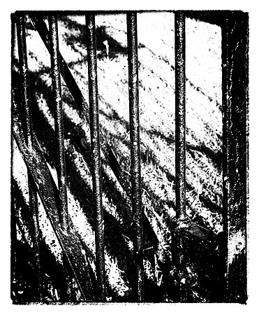"Lines"