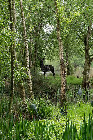 "The Stag"