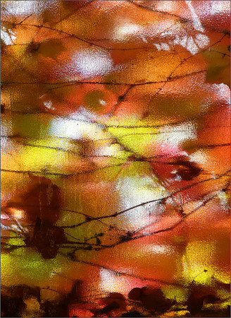 "Shades Of Autumn 1"