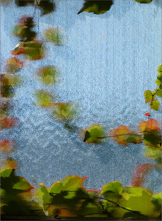 "Colour Harmony"