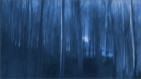 "Midnight Blue"