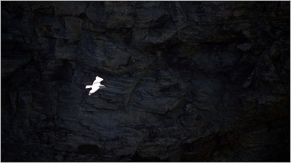 "Into The Abyss"
