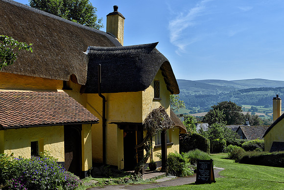 "Selworthy View"