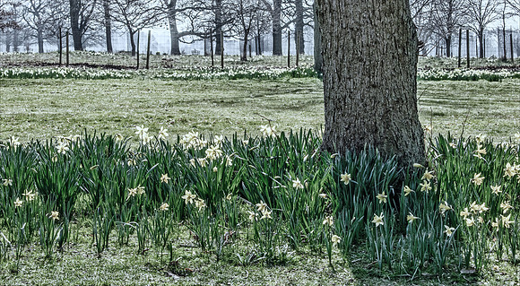 "Early Signs Of Spring"