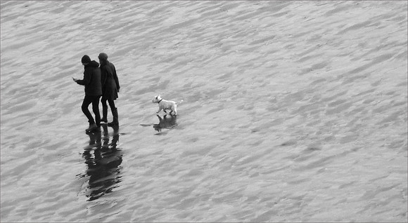 A Walk On The Beach