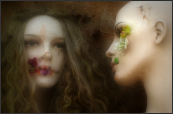 "Fading Beauty"